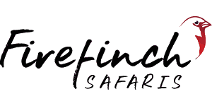 Firefinch Safaris & Car Hire